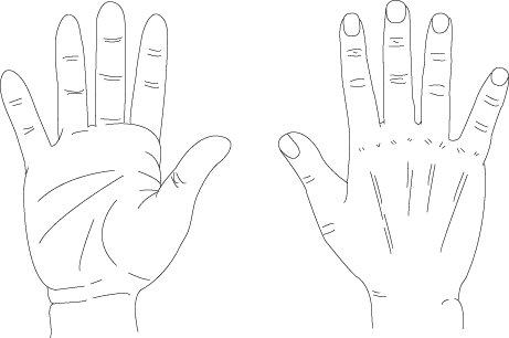 hands