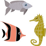 sea life