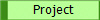 Project