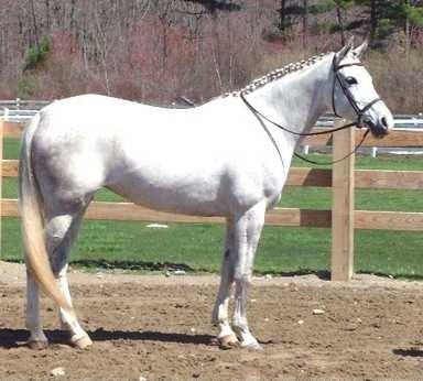 Snowmane