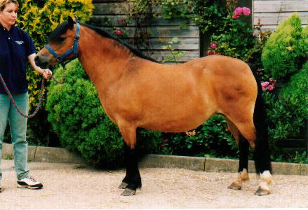 Gwydion