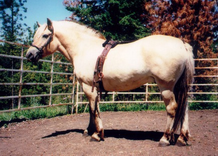 Camelot