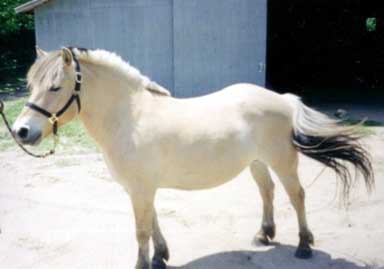 Gary