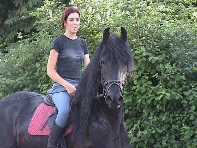 Teun