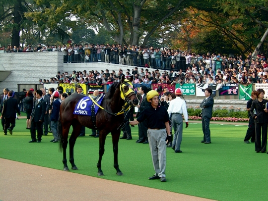 Ryo