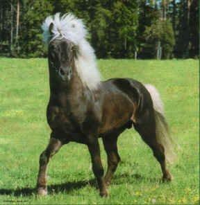 �rymir