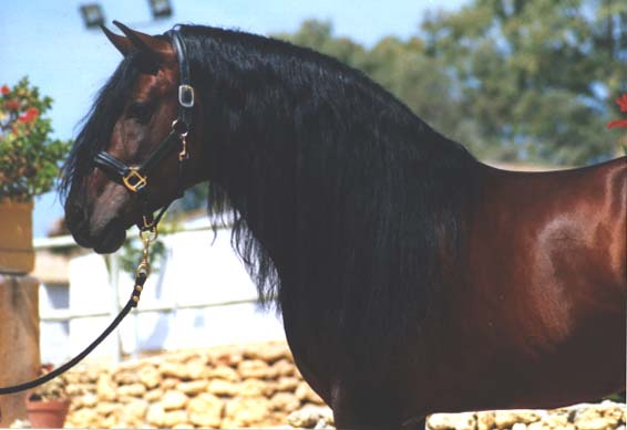 Ramoth