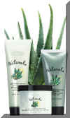 Aloe.jpg (9734 bytes)
