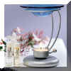 aroma_diffuser.jpg (13425 bytes)