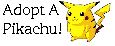 Adopt a Pikachu Here!