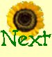 Next