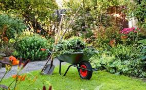 Wheelbarrow in garden