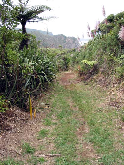 26-Hiking_the_Bush
