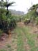 26-Hiking_the_Bush