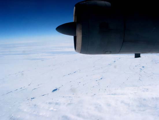 Seaice
