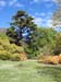 Botanic_Gardens