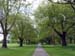 Hagley_Park