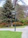Signpost_in_Gardens