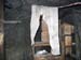 Clothes_line