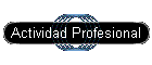 Actividad Profesional