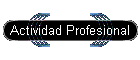 Actividad Profesional