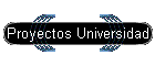 Proyectos Universidad