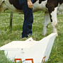 Prueba de campo