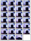 Microscop�a de calefacci�n