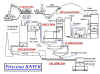 Proceso Bayer