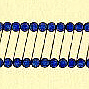 Muelle a tracci�n