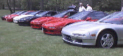 My row at Darby Farms (NSX1164 is second from right)