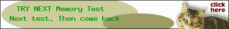 memory illiteracy test