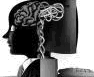 memory illitracy brain