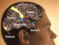 memorize illiterate