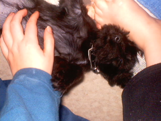 Belly.&nbsp; Rub.&nbsp; Good.