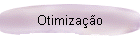 Otimiza��o
