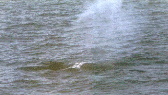 Taken by KMA, 08/18/2001