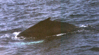 Taken by KMA, 08/18/2001