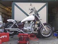Harley Solo Euro Stretch