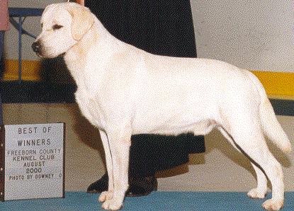 TROOPER WINS BEST OF WINNERS