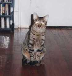 [Scaredy