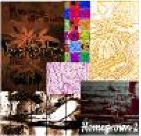 Homegrown 2&nbsp;&nbsp; own production, 2001; Pop, Rock & Folk