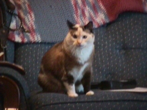 Mama