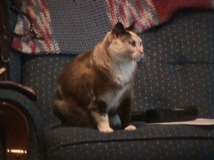 Mama
