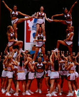 PCA 2003