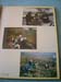 T9993-3