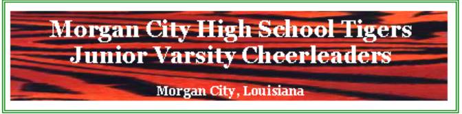 Welcome to the MCHS JV CHEERLEADERS site!
