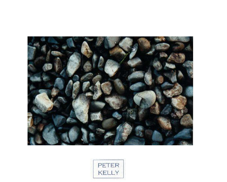Peter Kelly