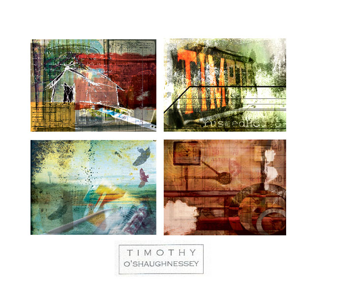 Tim O'Shaughnessy
