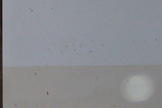 Close up of the orb